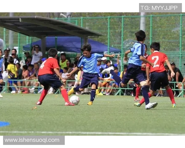 云南足球的崛起与发展探索助力地方经济与文化的融合与提升